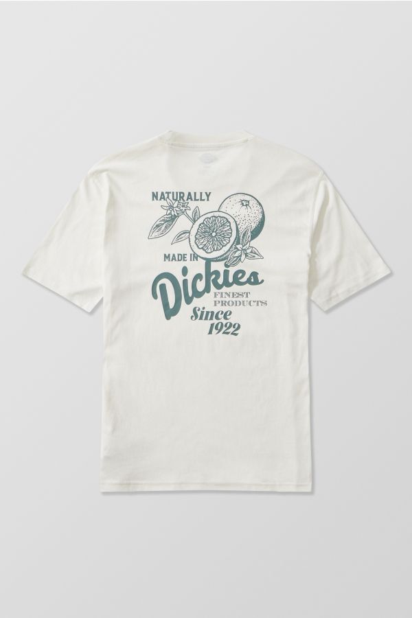 Slide View: 4: Dickies UO Exclusive Ecru Raven T-Shirt