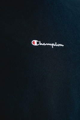 champion uo exclusive small script blueberry hoodie