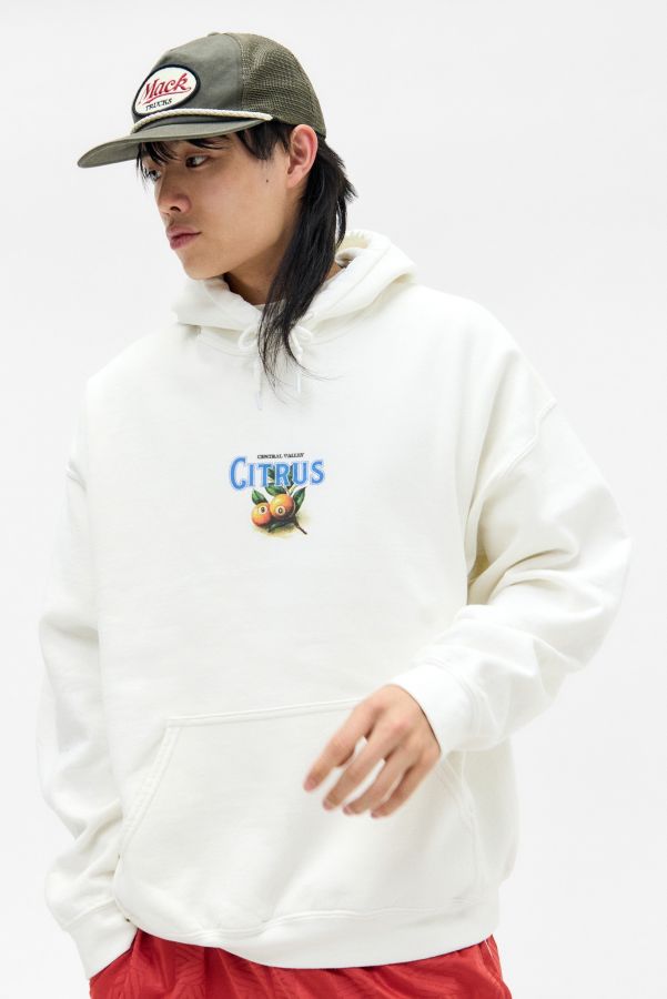 Slide View: 2: UO Ecru Citrus Hoodie