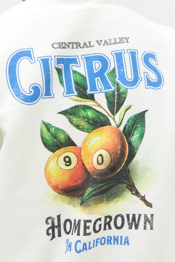 Slide View: 3: UO Ecru Citrus Hoodie