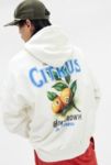 Thumbnail View 4: Sweat à capuche UO Ecru Citrus