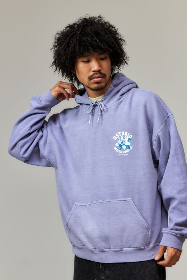 Slide View: 2: UO Lilac Astoria Hoodie