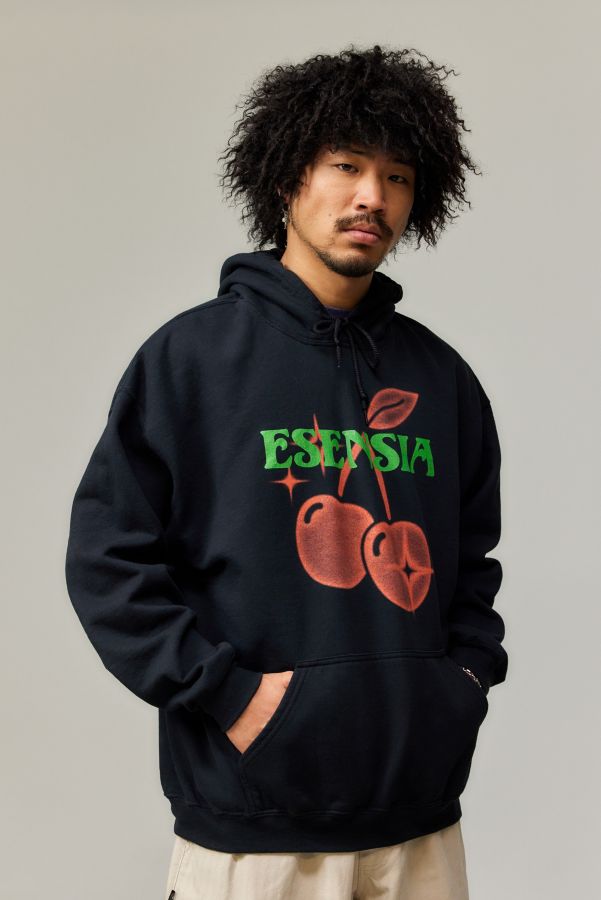 Slide View: 1: UO Black Esensia Hoodie