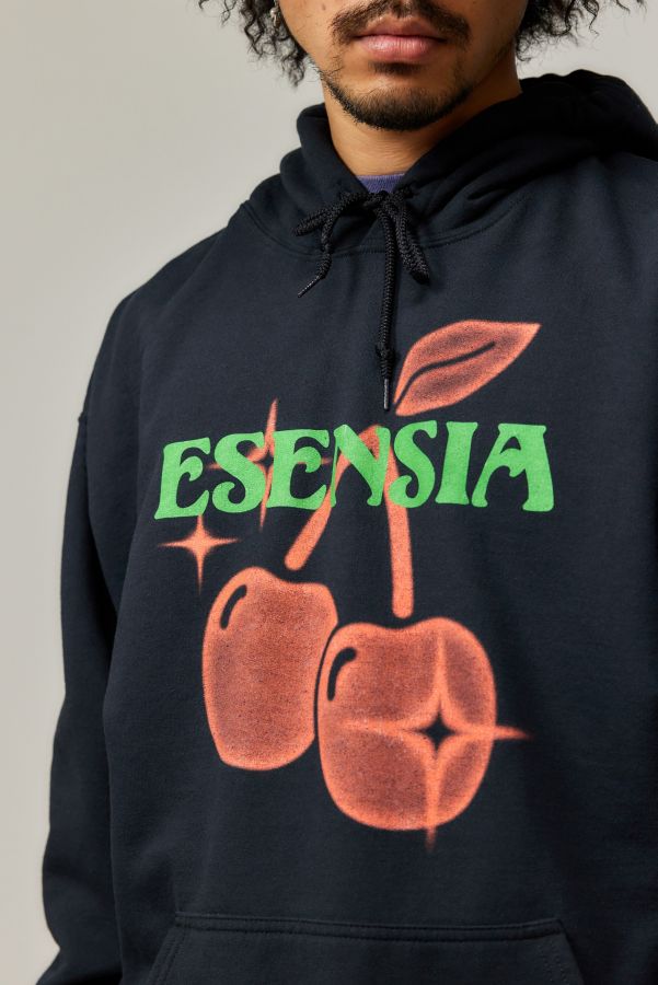 Slide View: 3: UO Black Esensia Hoodie