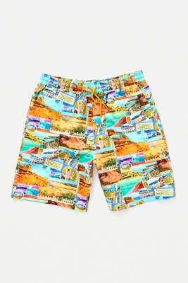 urban outfitters swim shorts