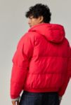 Thumbnail View 5: BDG Red Cotton Puffer Jacket