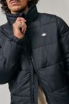 Thumbnail View 2: Dickies Schwarz Waldenburg Puffer Jacke