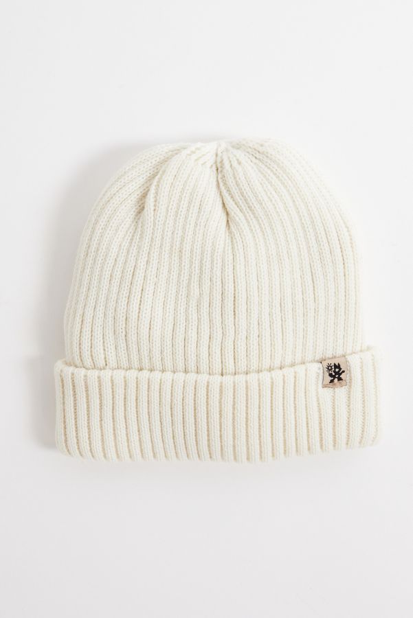 Slide View: 1: Ayker Ecru Beanie