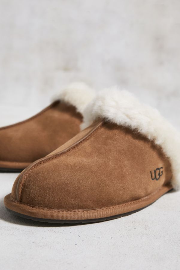 Vista de diapositivas: 3: UGG Scuffette II Zapatillas de castaño