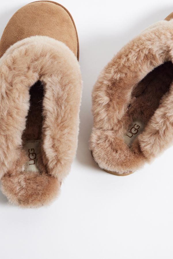 Vista de diapositivas: 5: Pantufla Clásica UGG Castaño