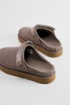 Thumbnail View 5: UGG Smoke Plum Goldenstar Clogs