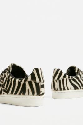 adidas originals superstar trainers in zebra print