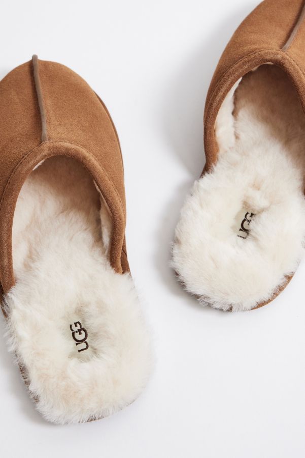 Slide View: 2: UGG Kastanienbraun Scuff Hausschuhe