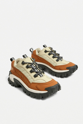 cat trainers intruder