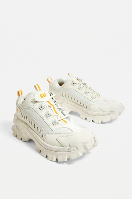 cat intruder triple white