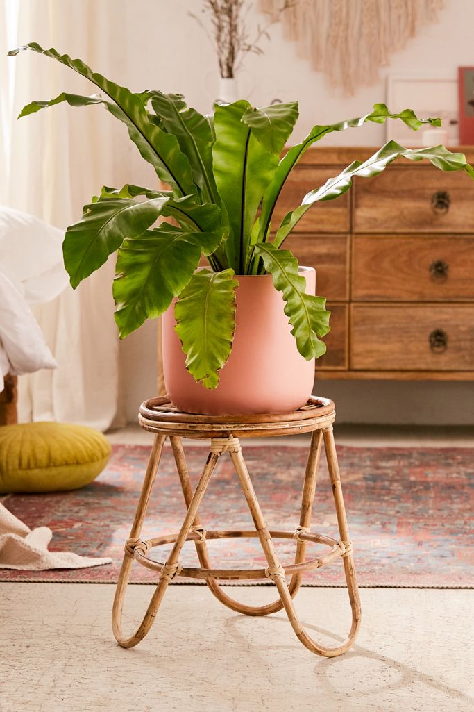 Skye Rattan Stool Urban Outfitters UK