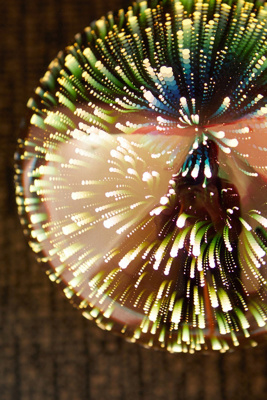 galaxy globe table lamp