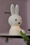 Thumbnail View 5: Mr Maria – Minilampe „Miffy Bundle of Light"