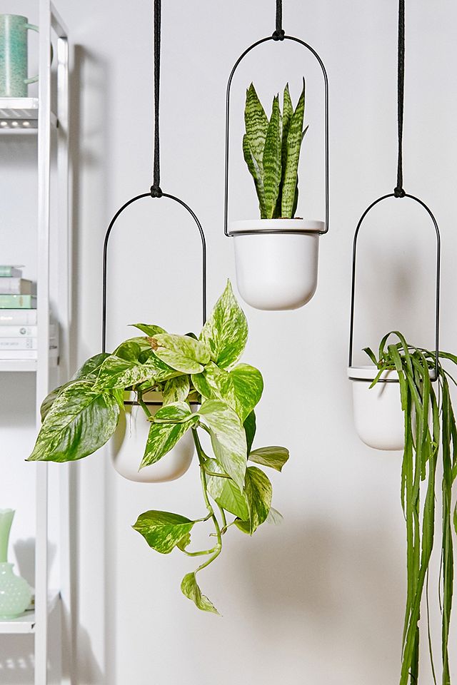 Umbra 3Plant Wall Hanging Urban Outfitters UK
