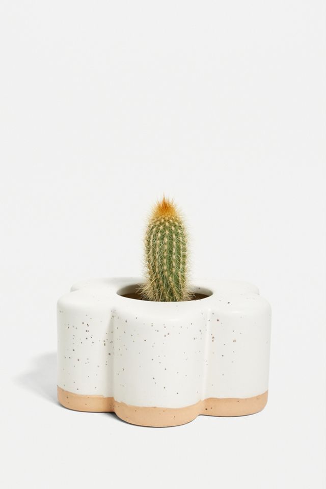 Ceramic Flower Plant Pot Urban Outfitters UK