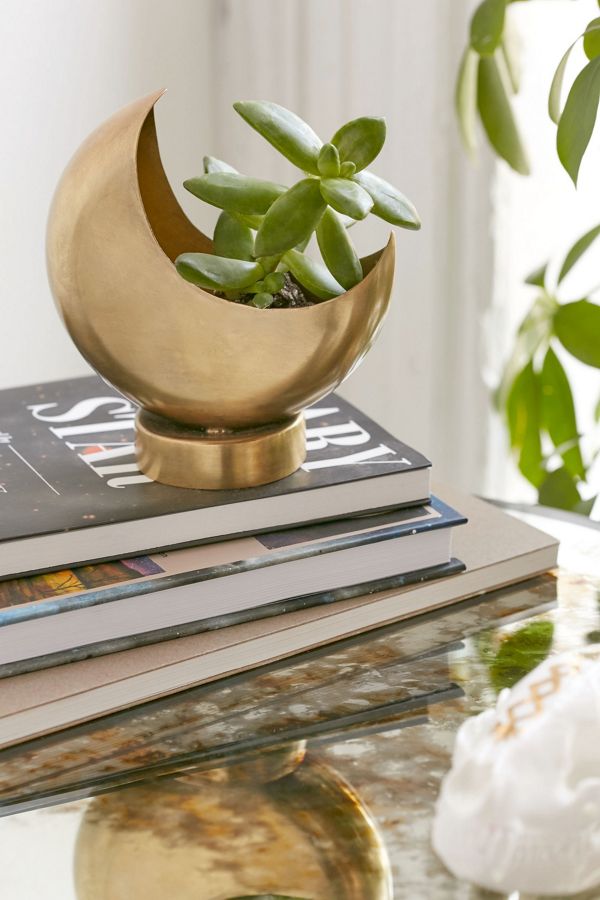 Crescent Moon Planter Urban Outfitters UK