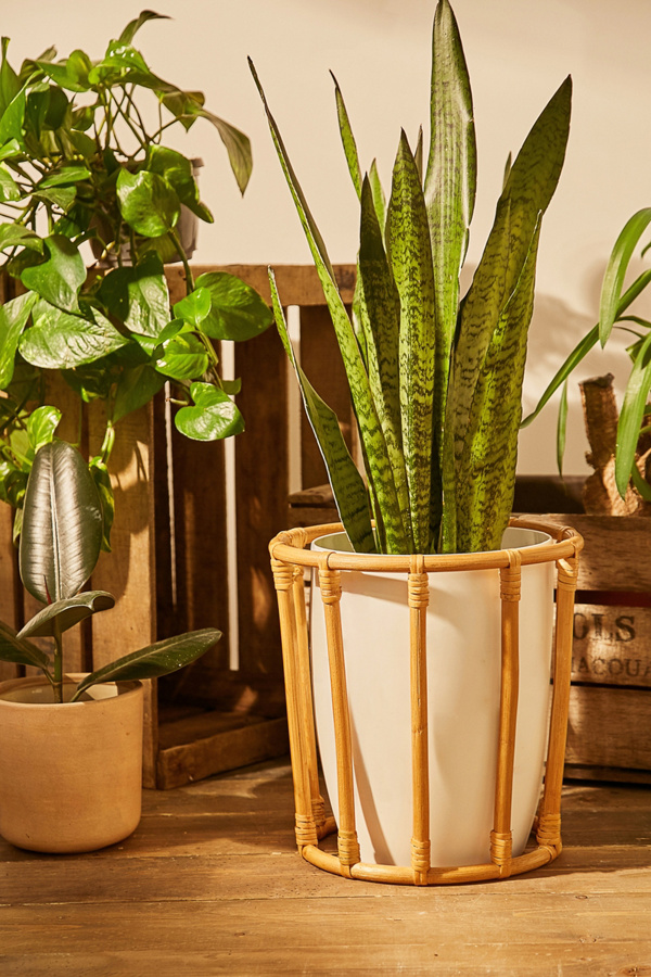 Hilma Rattan Stand Urban Outfitters UK