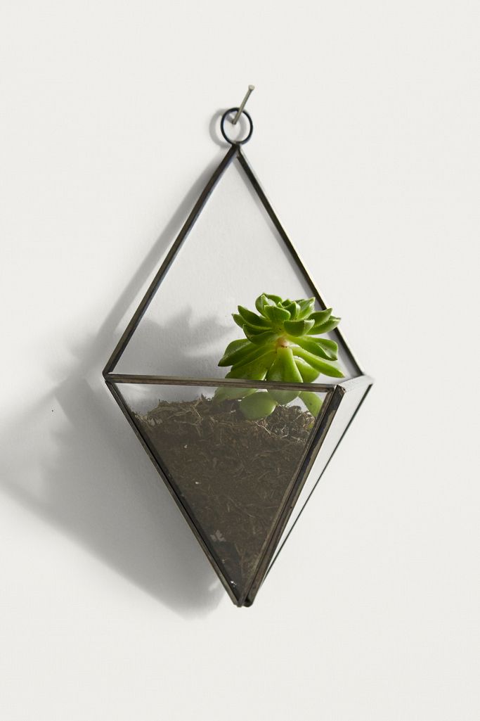 Wall Mounted Terrarium Urban Outfitters UK
