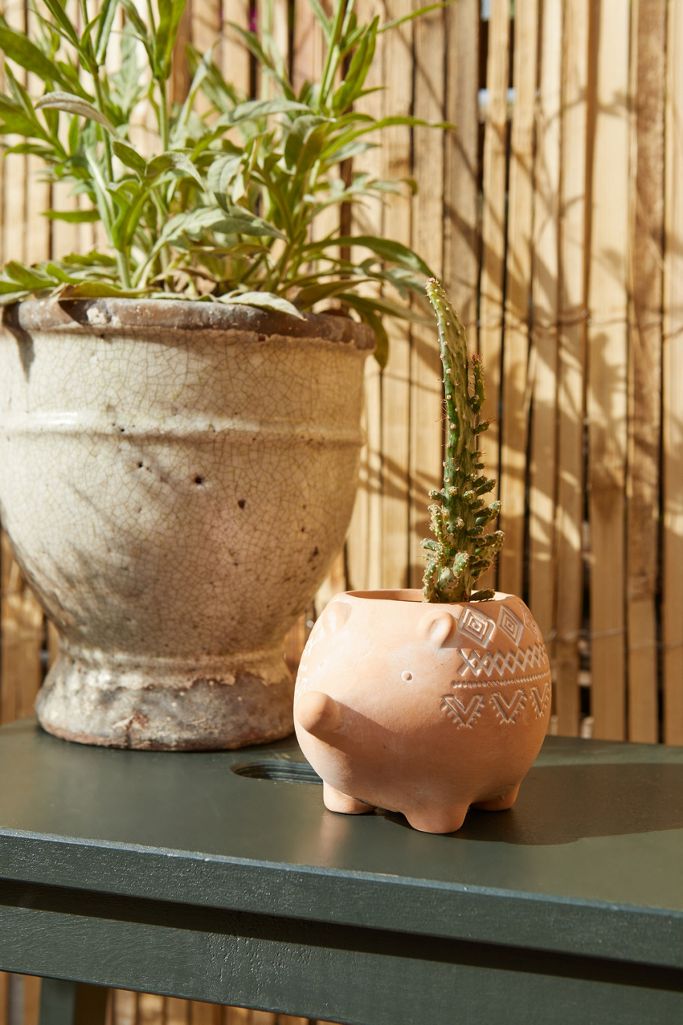 Hedgehog Planter Urban Outfitters UK
