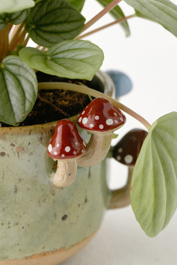 Slide View: 4: Sprouting Mushroom Planter