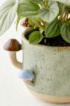 Thumbnail View 5: Sprouting Mushroom Planter