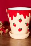 Visualizzazione miniature 2: Vaso per Gelato alla Fragola