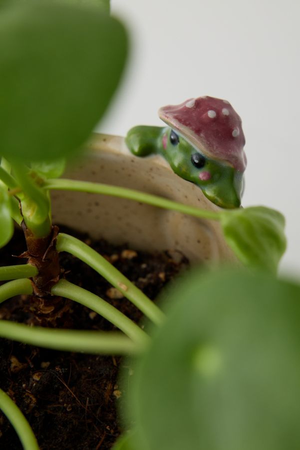 Slide View: 2: Peeking Frog Planter