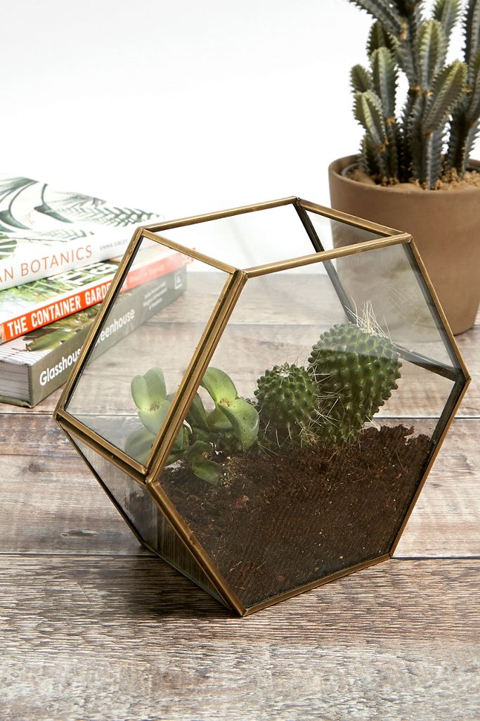 Hexagonal Brass Terrarium Urban Outfitters UK