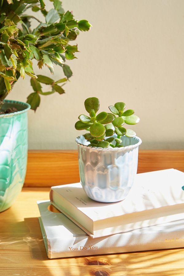 Small Enamel Planter Urban Outfitters UK