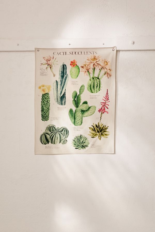 Cactus and Succulents Tapestry Urban Outfitters UK