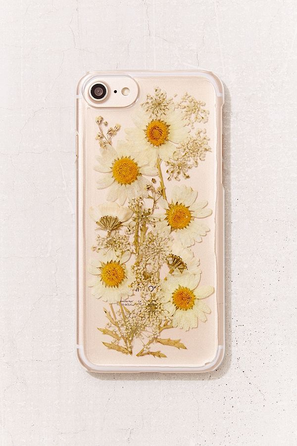 coque iphone 6 daisy