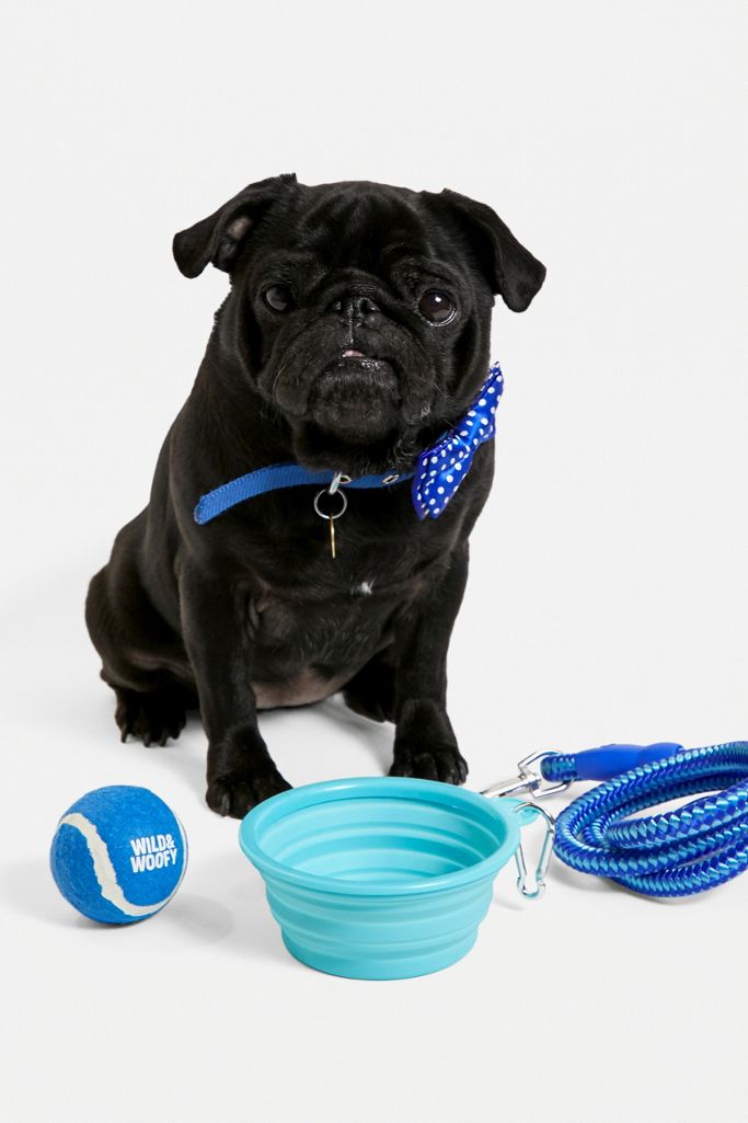Wild & Woofy New Dog Starter Kit Urban Outfitters UK