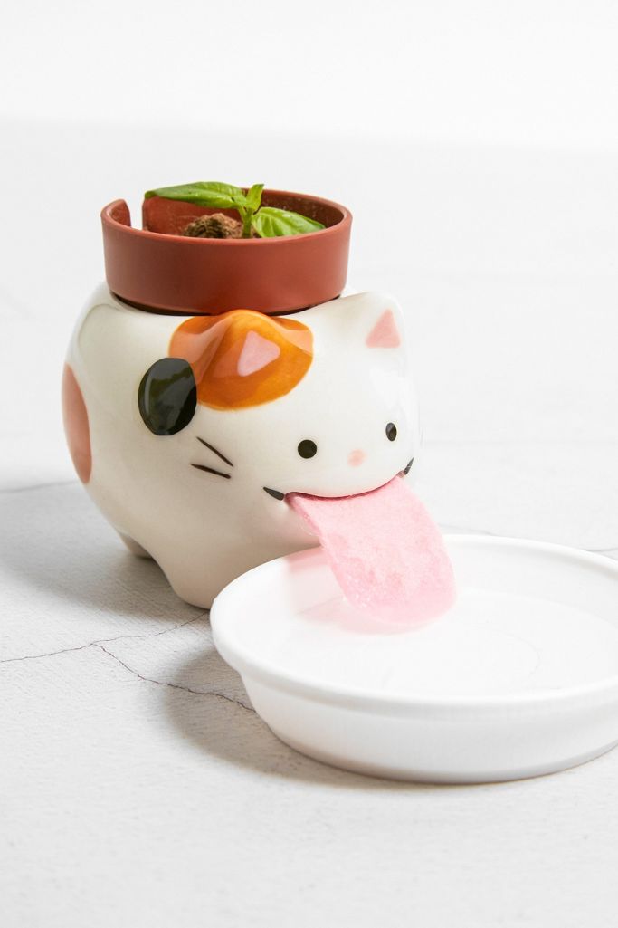 Peropon SelfWatering Cat Planter Urban Outfitters UK