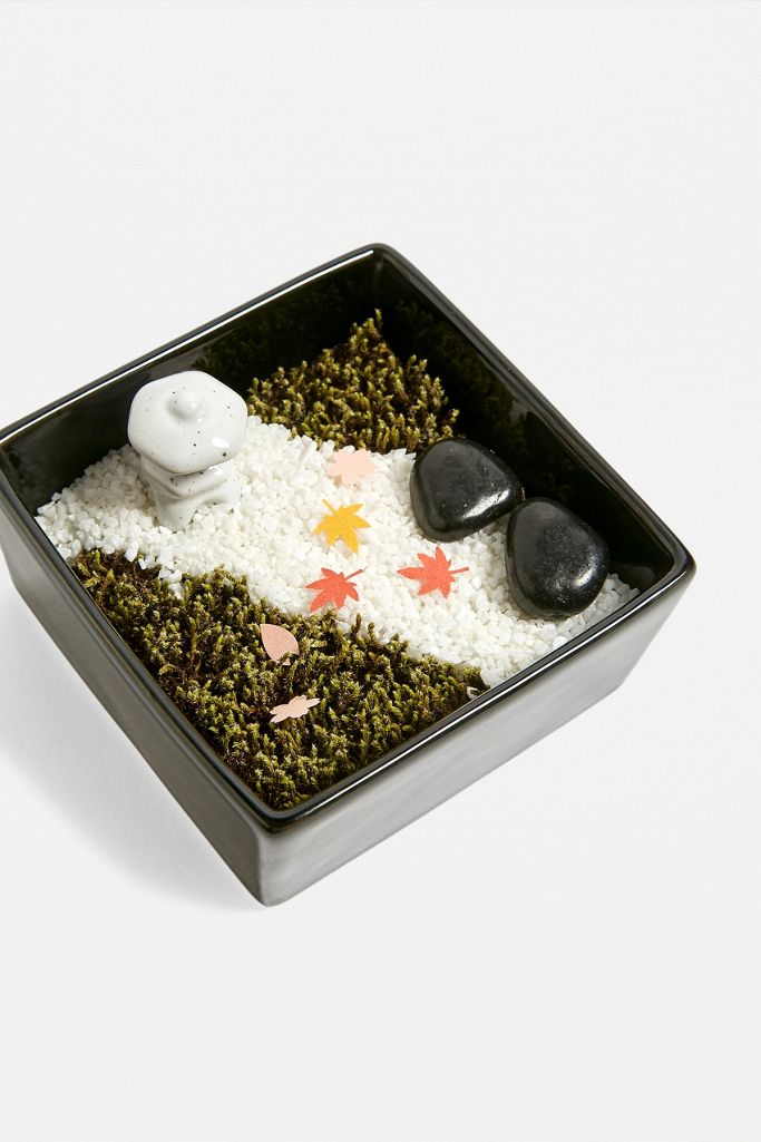 Grow Your Own Moss Garden Kit | Urban Outfitters UK