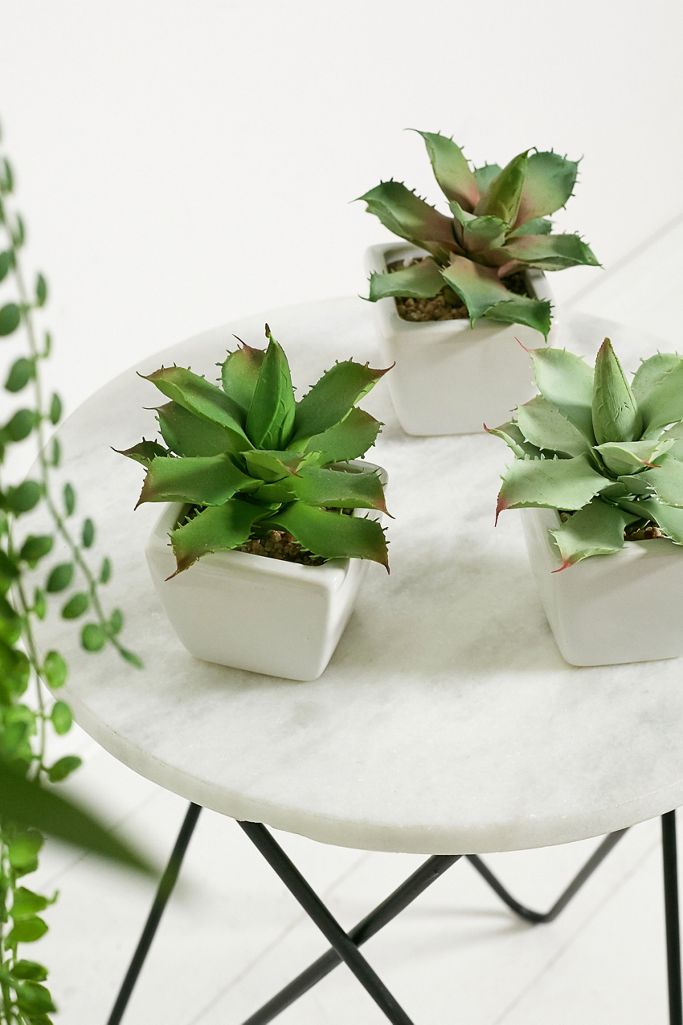 Potted Agave Faux Plant Urban Outfitters UK
