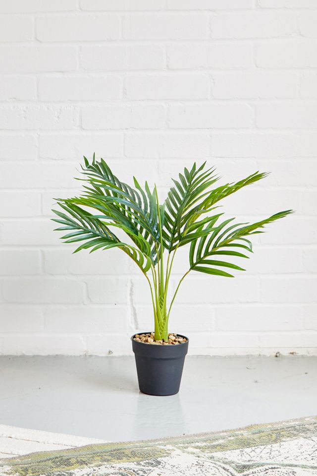 Faux Palm Tree Urban Outfitters UK