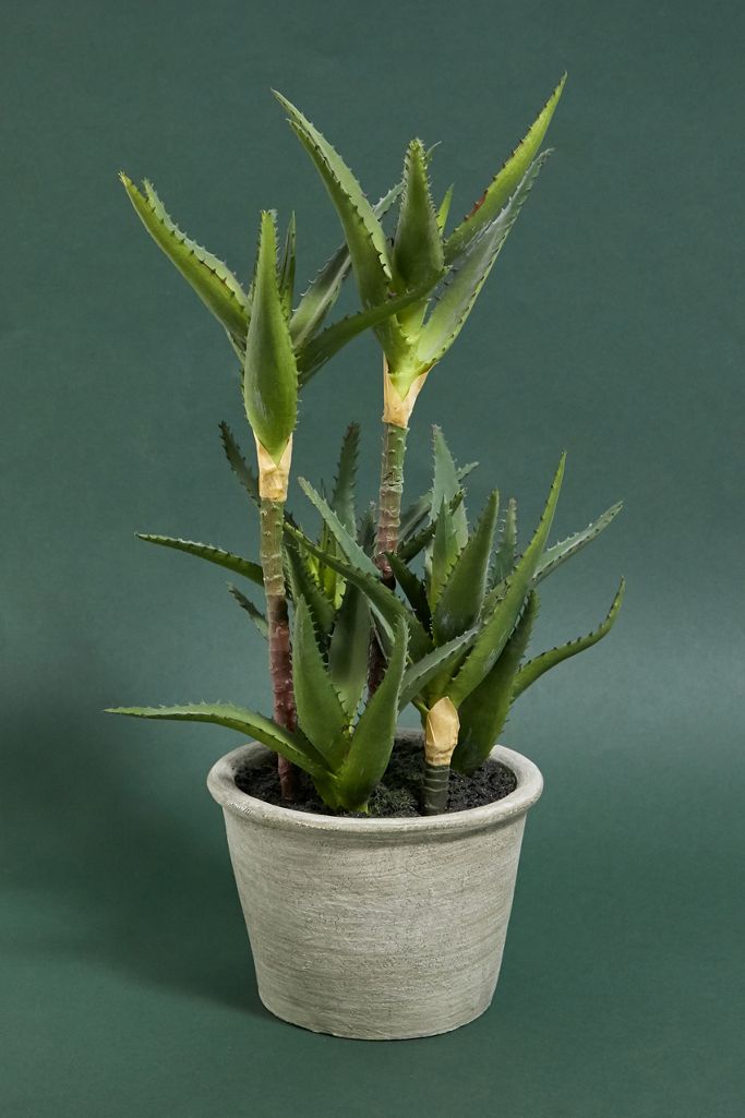 Faux Aloe Vera Plant Urban Outfitters UK