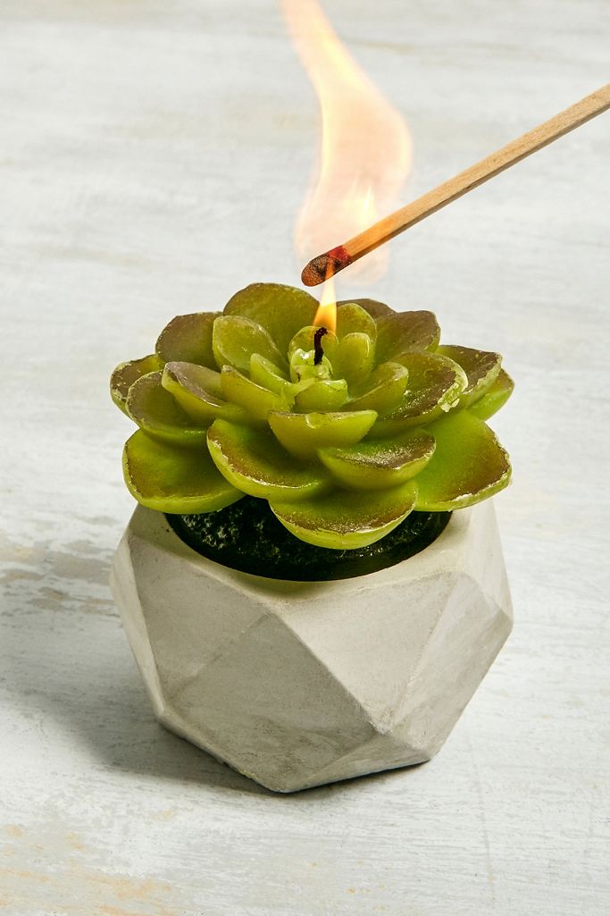 Succulent Tealight Candle Urban Outfitters UK