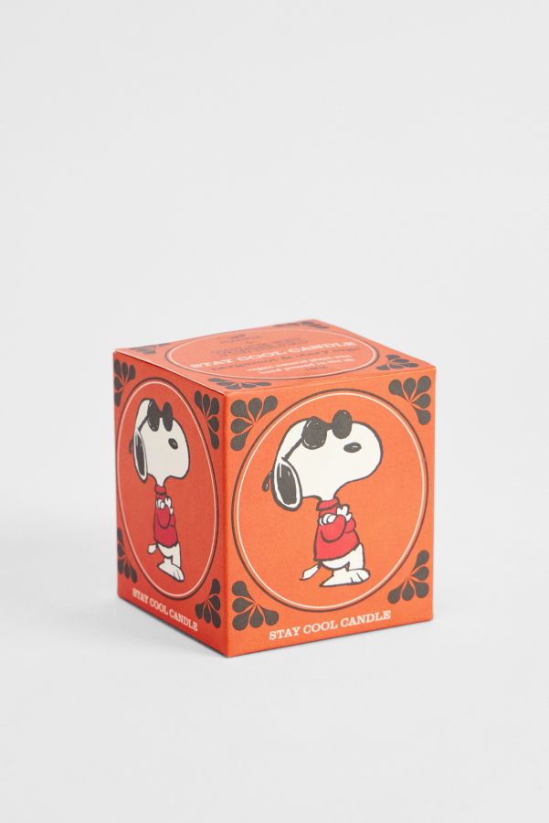 Vista de diapositivas: 4: Vela Snoopy Mantente Fresco