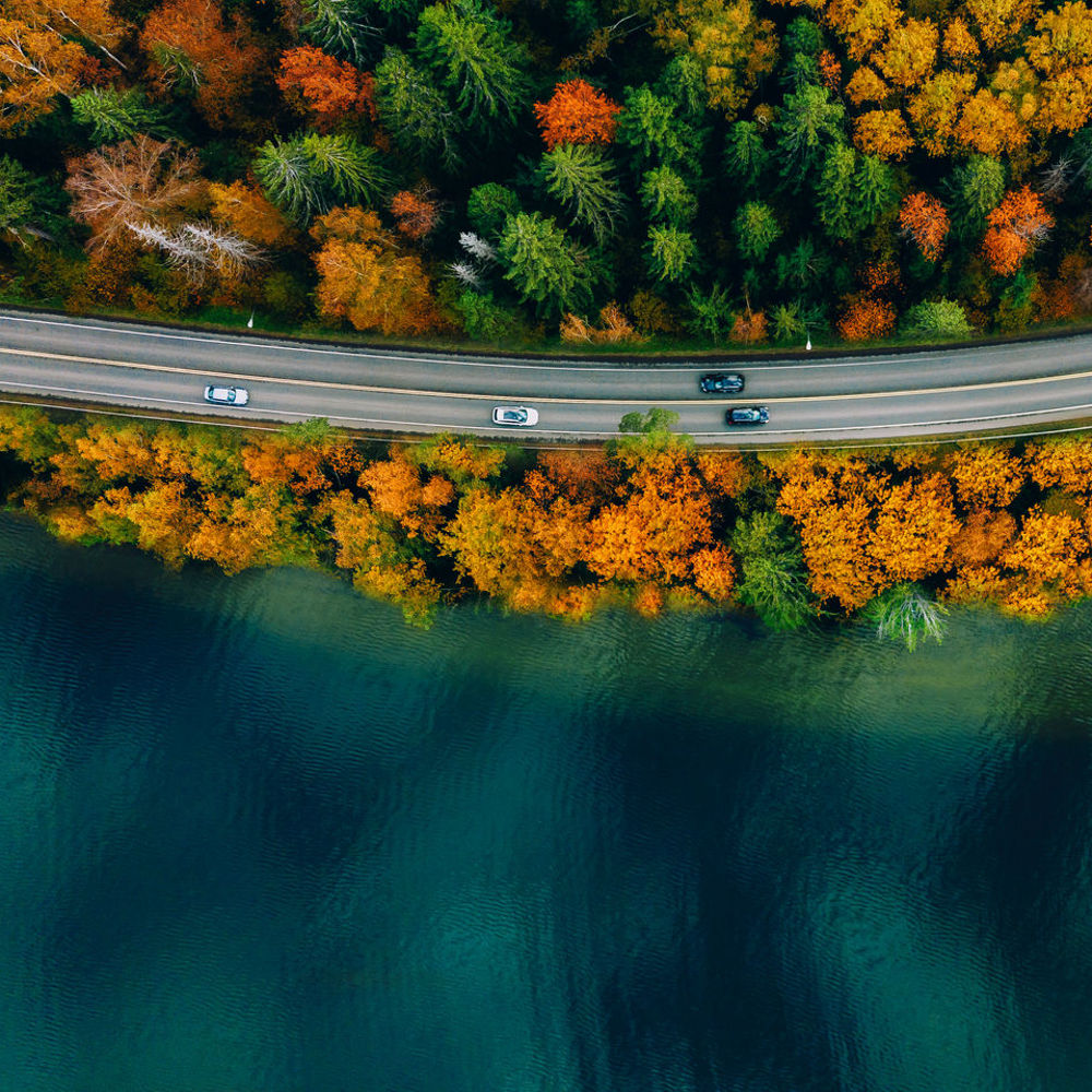 Aerial view of a road bordered by autumn trees and a blue lake, with cars driving along the route.