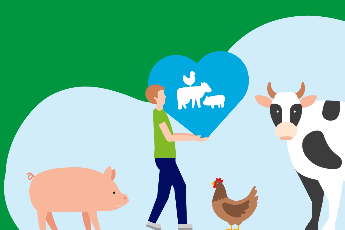 Illustration von Mann mit Herzsymbol und Bauernhoftieren. Kuh, Schwein und Huhn auf grün-blauem Hintergrund.