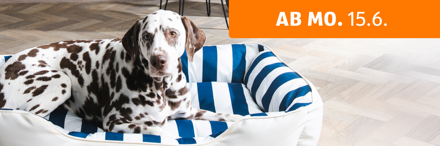 Tierische Angebote – ab 15.6.
