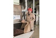 Ein Mitarbeiter der Schokoladenfabrik kippt einen Sack Kakaobohnen in die Maschine.