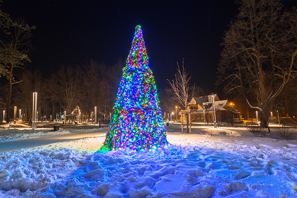 Christbaum in einem Park mit bunten Lichtern.