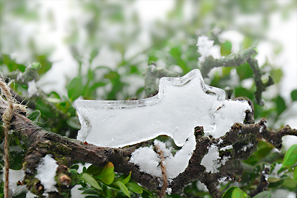 Stern aus Eis auf Ästen.